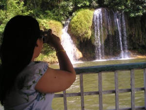 appleandawaterfall.jpg