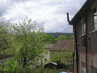 backgarden.jpg