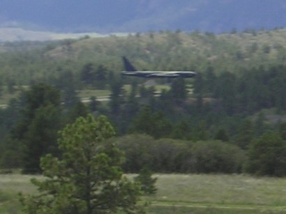 planeintheforest.jpg